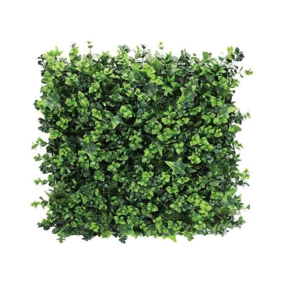 Wall Green ウォールグリーン