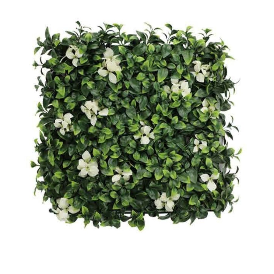 Wall Green ウォールグリーン
