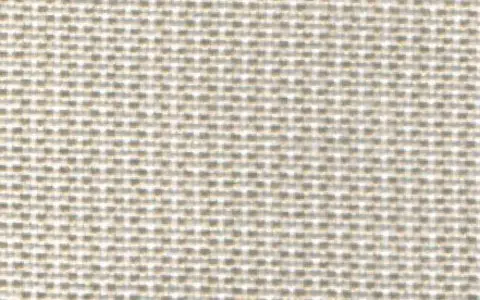 008 OYSTER（オイスター）