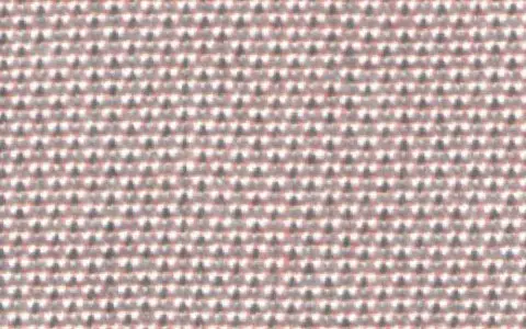 047 PETAL（ペタル）