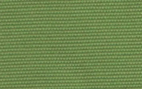 072 BASIL（バジル）
