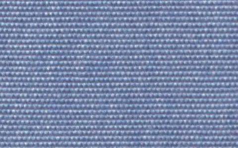 081 PERIWINKLE（ペリウィンクル）
