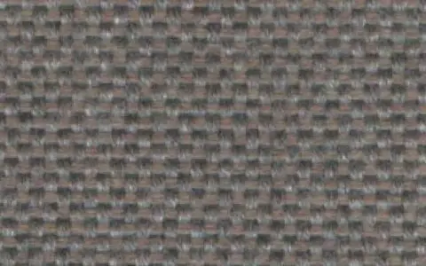 123 RACCOON（ラクーン）