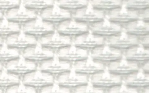 148 SNOWFLAKE（スノーフレーク）