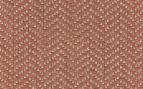 188 SALMON（サーモン）