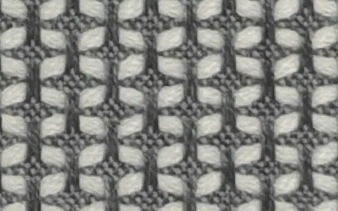 243 ZEBRA（ゼブラ）