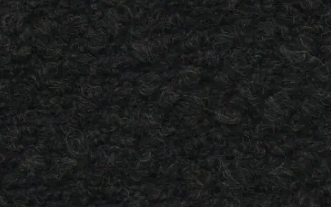 271 BLACK BEAR（ブラックベア）