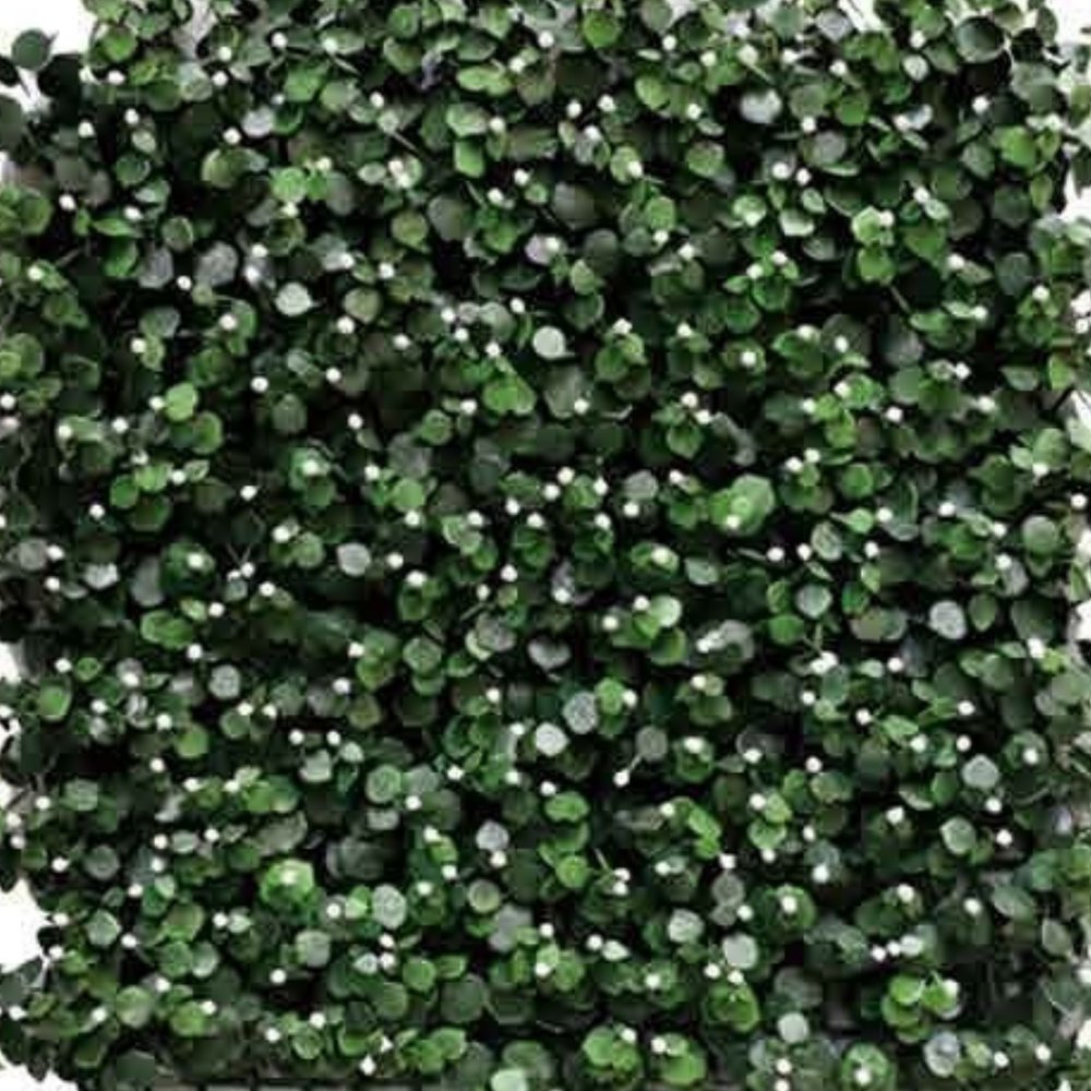 WALL GREEN 17226W ウォールグリーン SELECTION 03　17226W