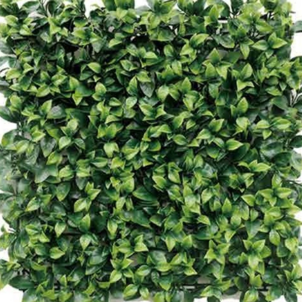WALL GREEN 17700GS ウォールグリーン SELECTION 03　17700GS