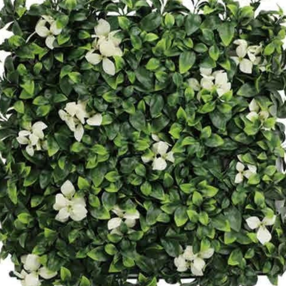 WALL GREEN 17700LWF ウォールグリーン SELECTION 03　17700LWF