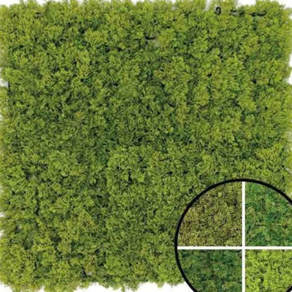 WALL GREEN 17857LG ウォールグリーン SELECTION 03　17857LG