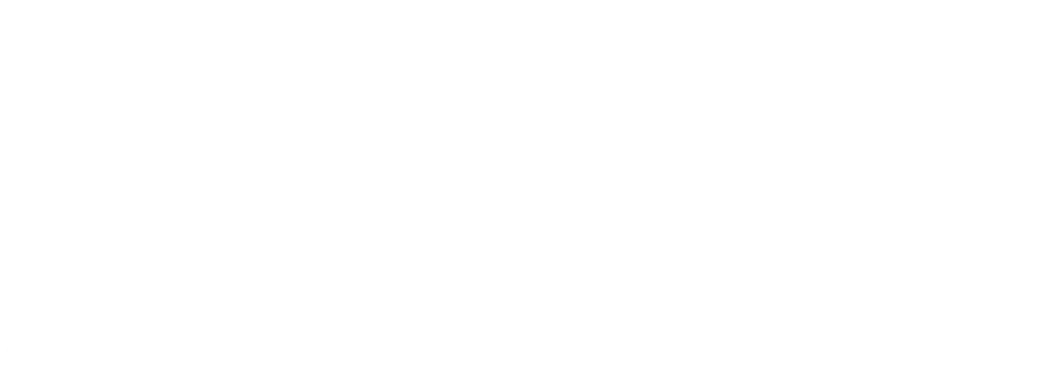 ANKER & ZIMMER Logo